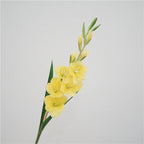 Gladiolus Flower Decor