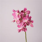 Phalaenopsis Orchids Flower Decor