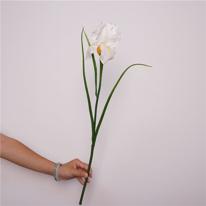 Faux Iris Stem