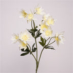 Pincushion Flower Decor