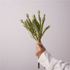 PolyPite Fern Foliage