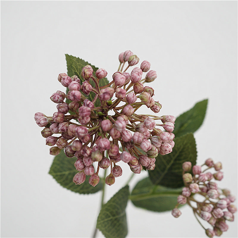 Viburnum Bud Flower Decor