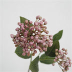Viburnum Bud Flower Decor