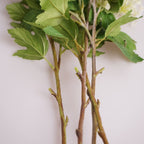 Viburnum Flower Decor