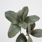 Magnolia Leaf Decor