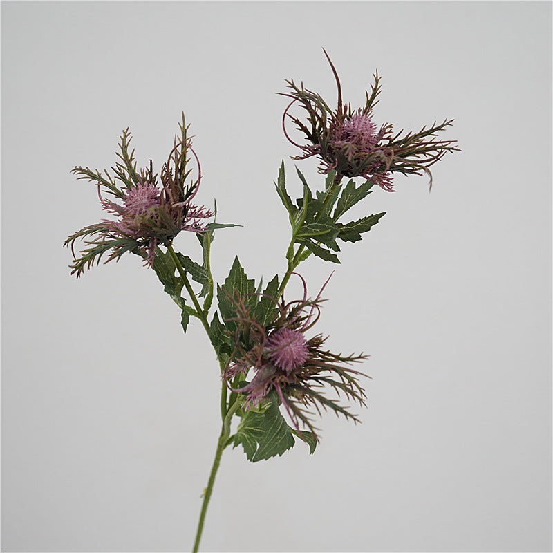 Sea Holly Bouquet