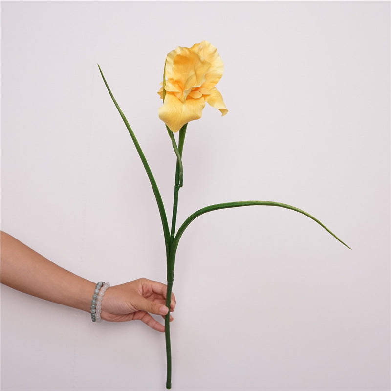 Faux Iris Stem