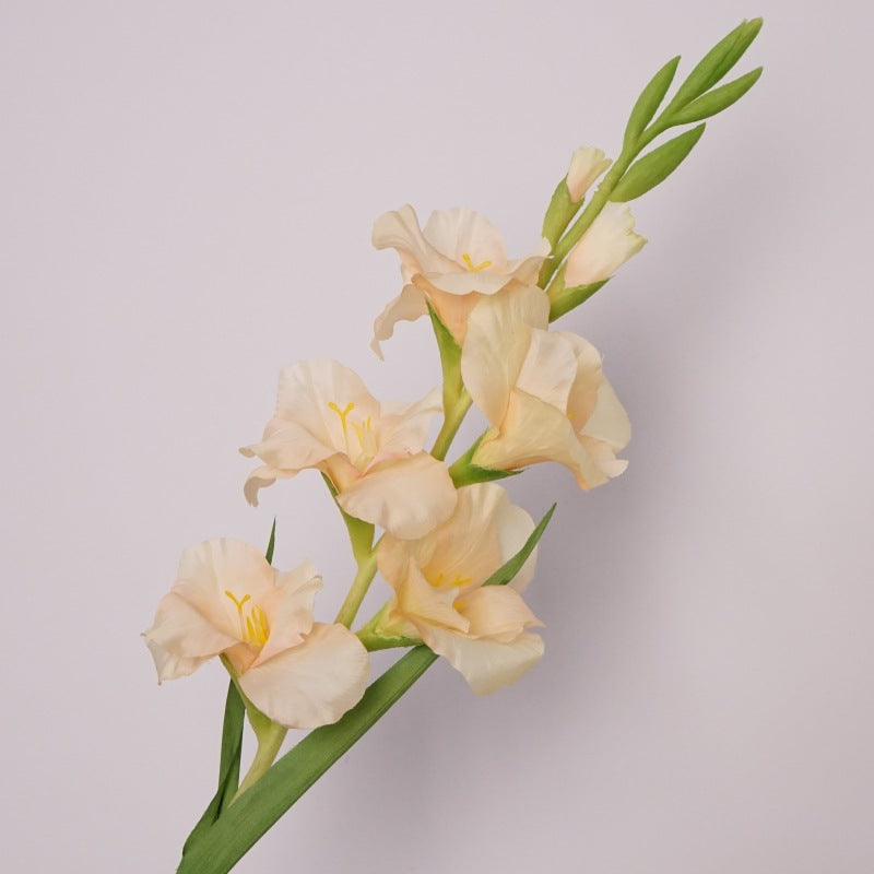 Pure Gladiolus Flower Decor