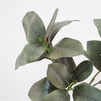 Magnolia Leaf Decor