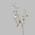 Orchid Oncidium Flower Decor