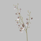 Orchid Oncidium Flower Decor