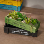 Arabica Vintage Mini Crates