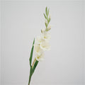 Gladiolus Flower Decor