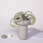 Roly-Poly Elegance Vase