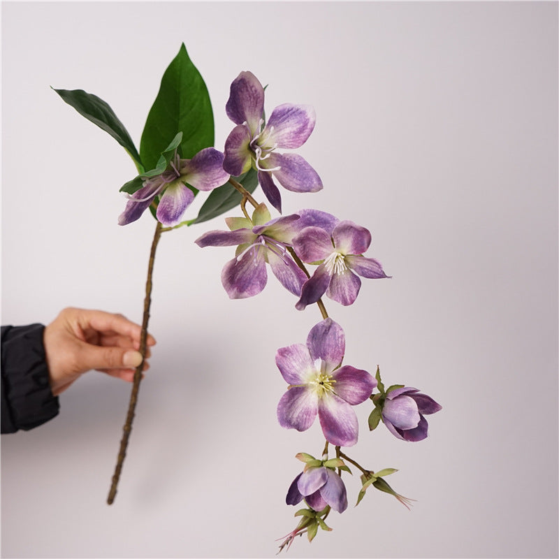 Merr’s Clerodendrum Flower Decor