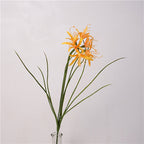 Spider Lily Bloom