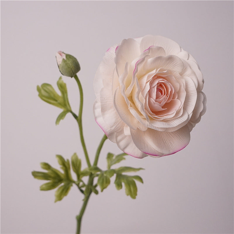 Persian Buttercups Flower Decor