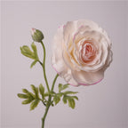 Persian Buttercups Flower Decor