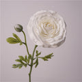 Persian Buttercups Flower Decor
