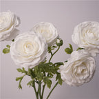 Persian Buttercups Flower Decor