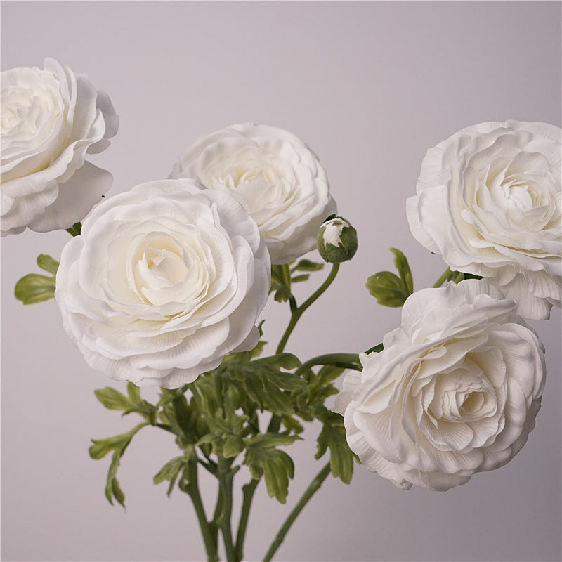 Persian Buttercups Flower Decor