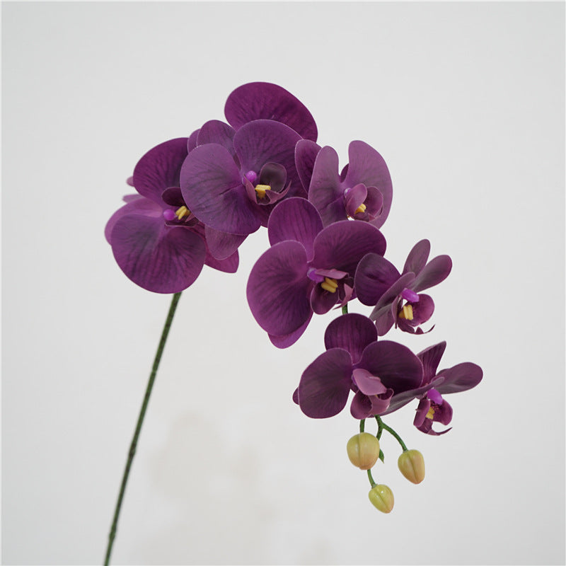 Orchid Bloom Flower Decor