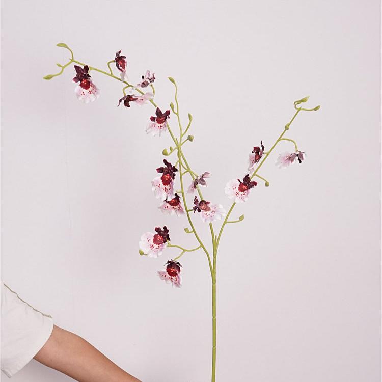 Orchid Oncidium Flower Decor