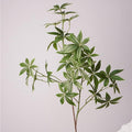 Faux Andromeda Greenery