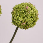 Luxe Allium Flower Decor
