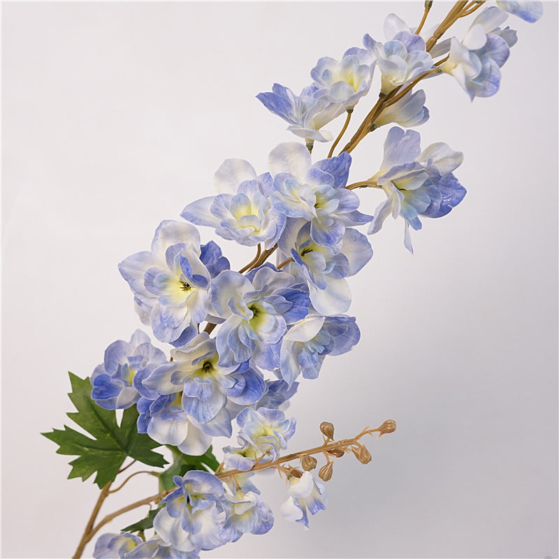 Delphiniums Flower Decor
