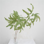 Elegant Fern Foliage
