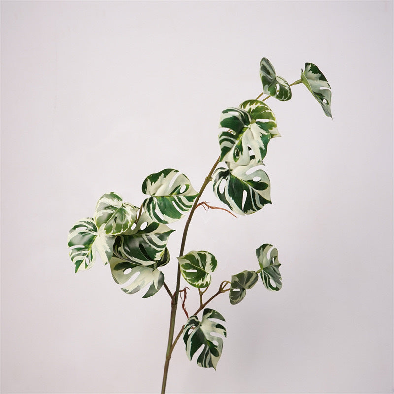 Monstera Deliciosa Plant Decor