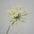 Lily Agapanthus Flower Decor