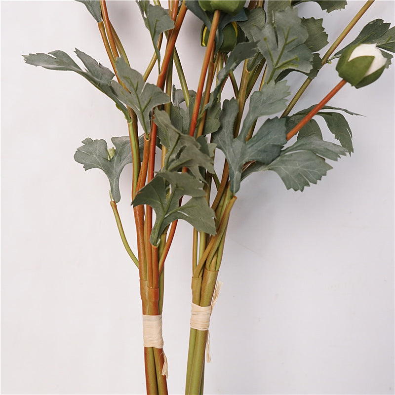 Ranunculus Flower Decor