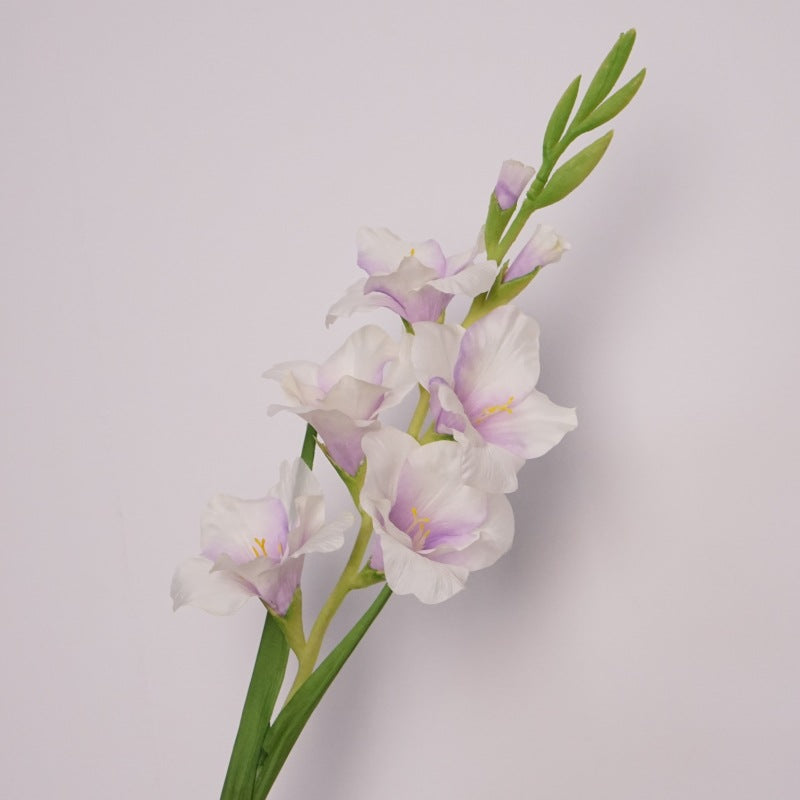 Pure Gladiolus Flower Decor