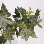Grape Vine Leaves
