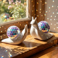 Lunar Disco Snail