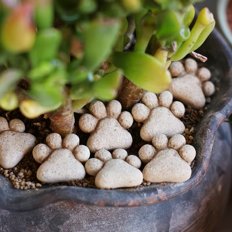 Woodland Paw Resin Stones