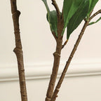 Artificial Japanese Andromeda Stem