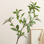 Artificial Japanese Andromeda Stem