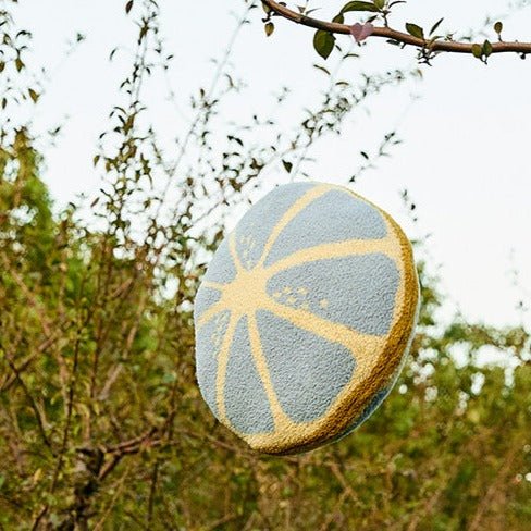 Citrus Burst Cushion