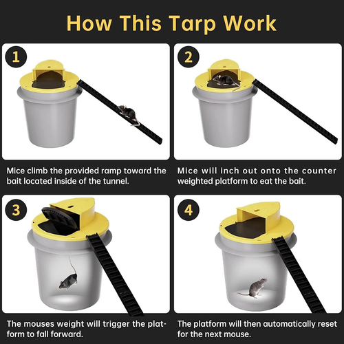 (🔥Spring Hot Sale- 30% OFF) New Bucket Lid Mouse Trap