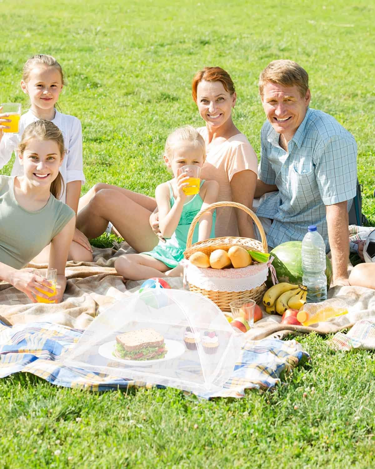 Summer Pre Sale - Mesh Food Cover, 6 Pack 17"x17" Mesh Food Tent