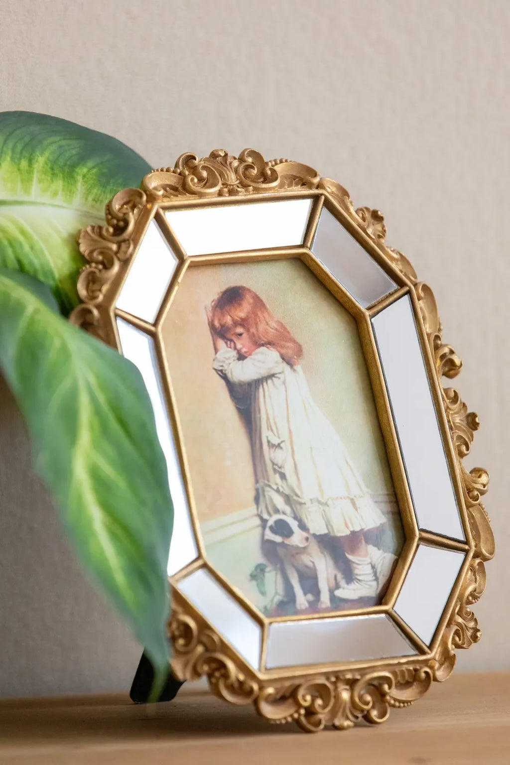 Baroque Mirrored Ornate Frame