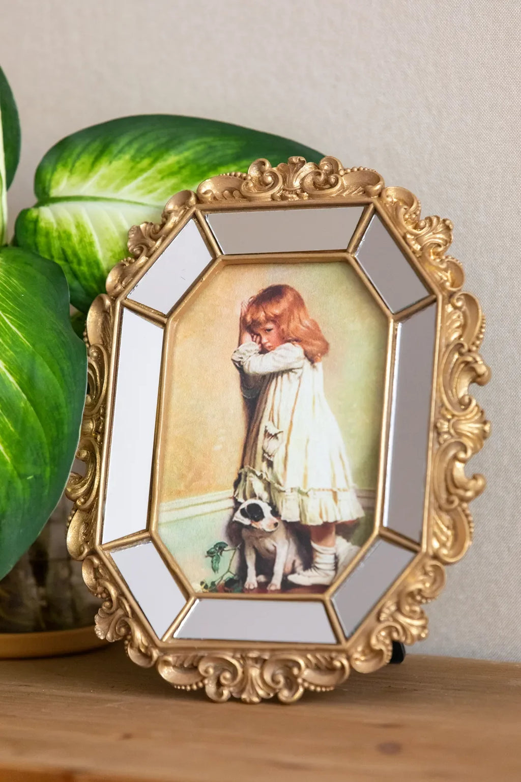 Baroque Mirrored Ornate Frame