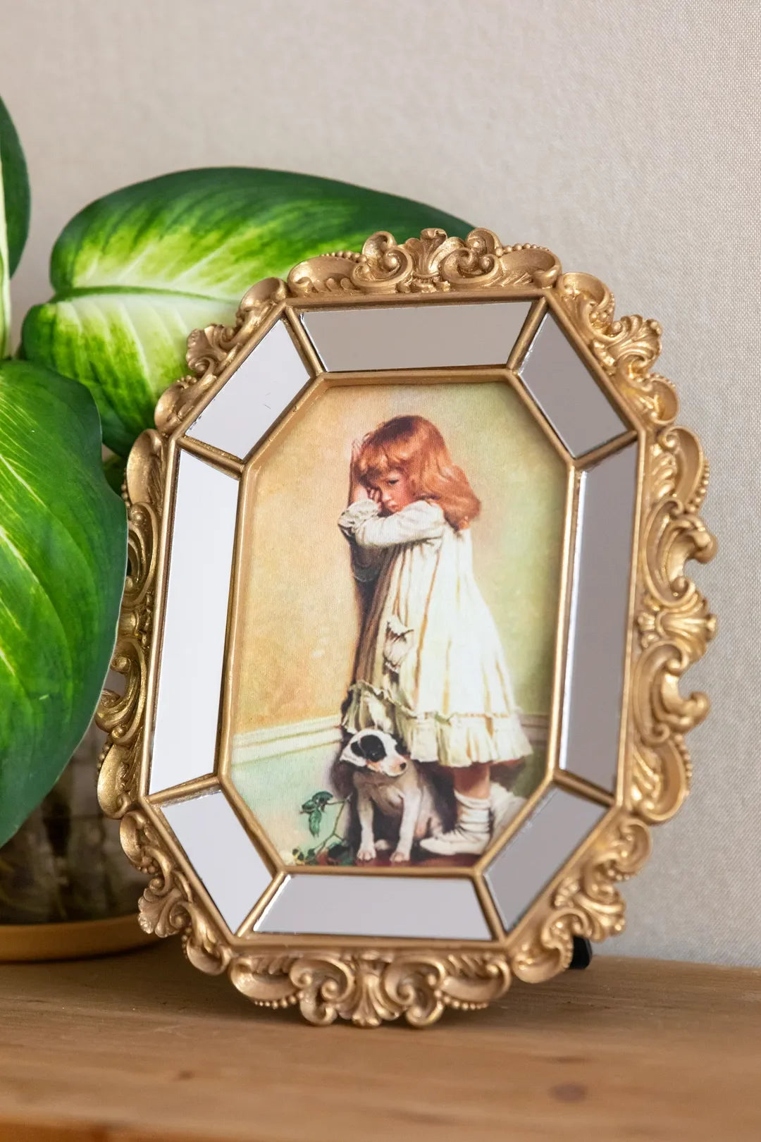 Baroque Mirrored Ornate Frame