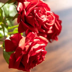 Elegant Rose Flower Decor