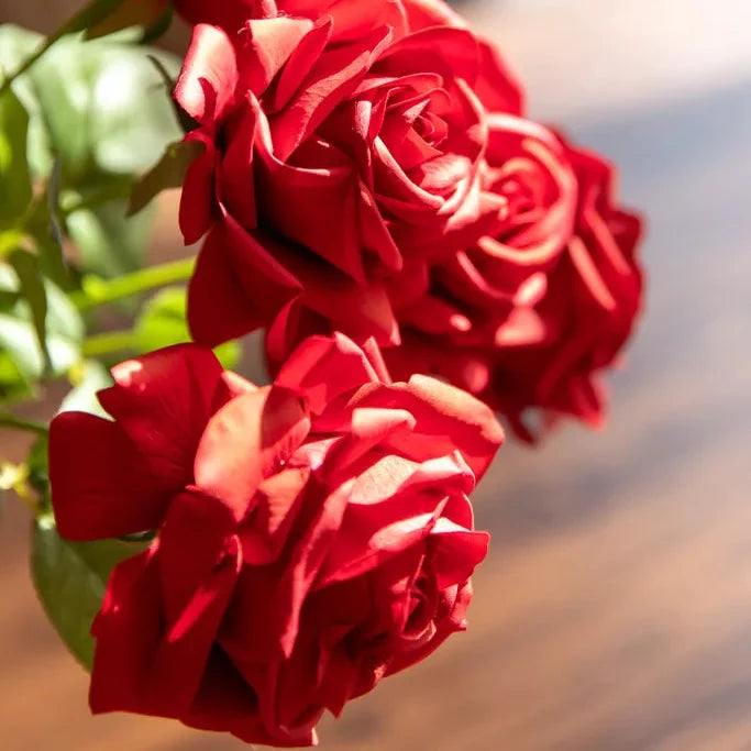 Elegant Rose Flower Decor