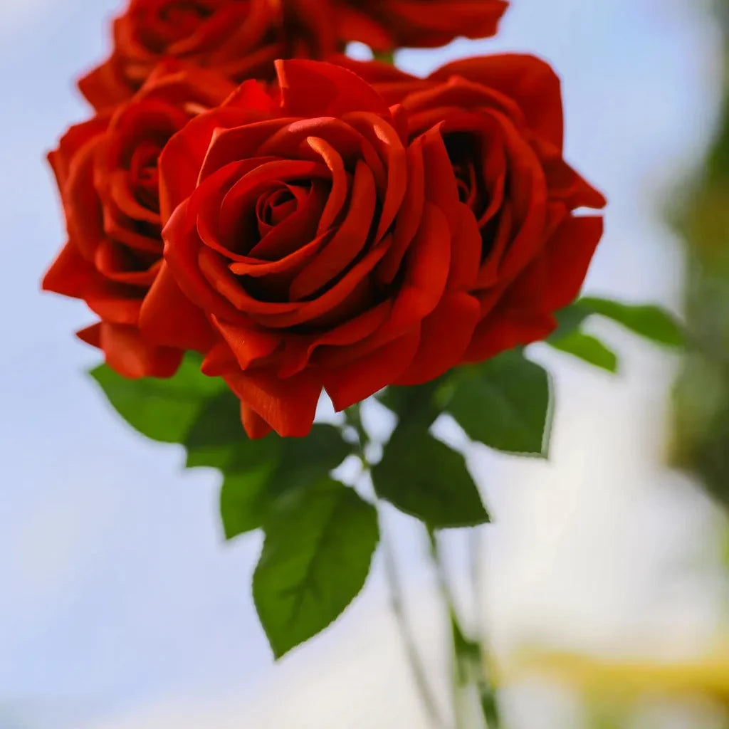 Elegant Rose Flower Decor