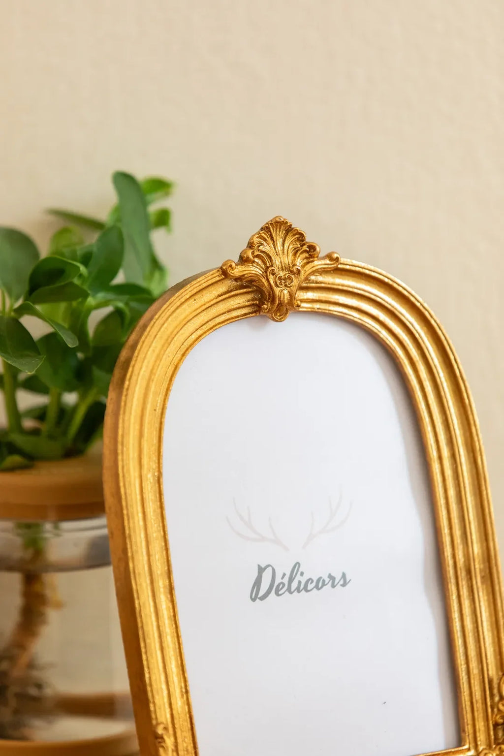 Golden Arch Ornate Frame Set